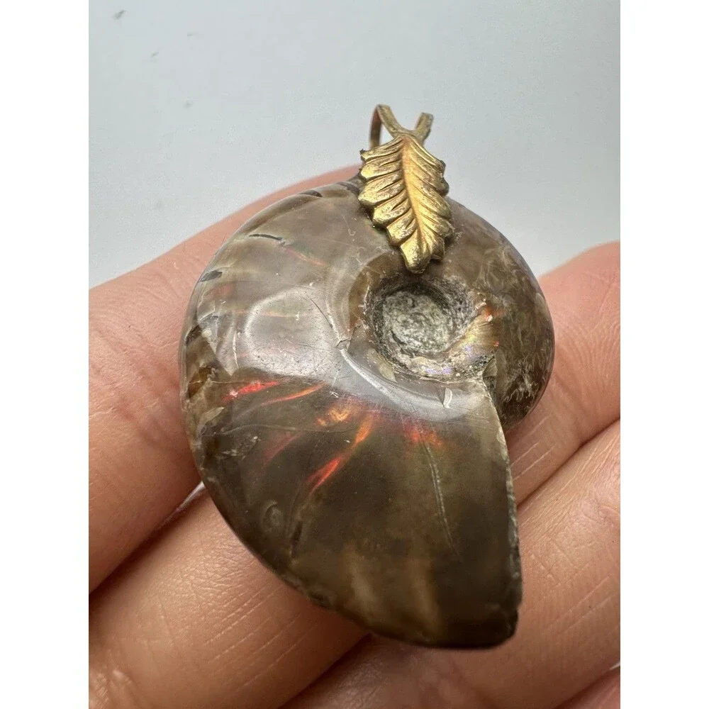 Iridescent Ammonite Fossil Pendant